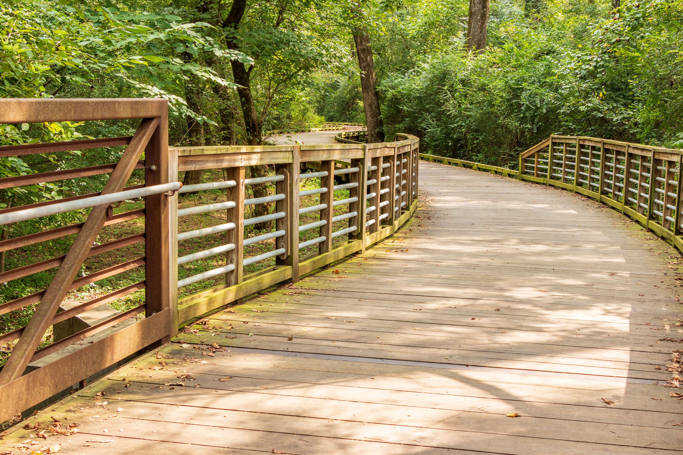 pedestrian bridge in park walking path
